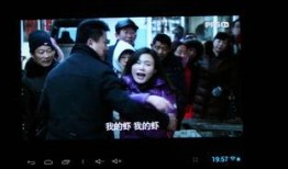 浮夸在线观看,揭秘网络热剧背后的浮夸人生