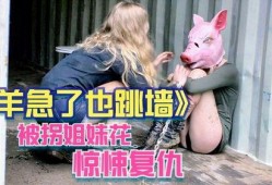 羊急了也跳墙在线观看,一场惊心动魄的冒险之旅