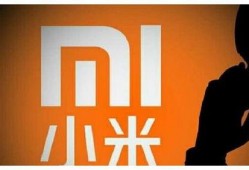 小米高管最新爆料,最新旗舰手机及未来科技布局大曝光！”