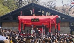 开封王婆最新爆料事件